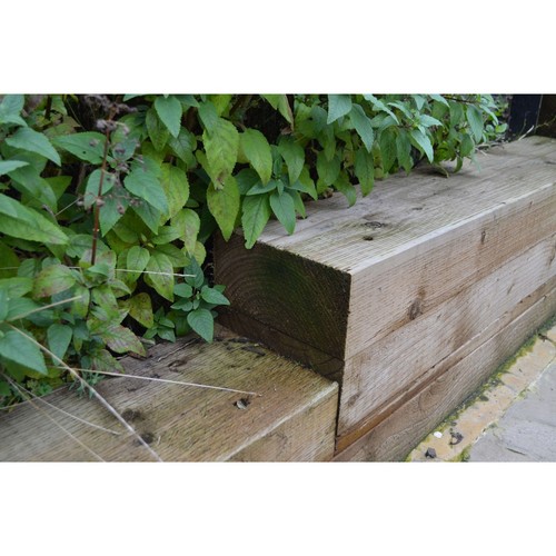 Incised garden sleeper - garden,
